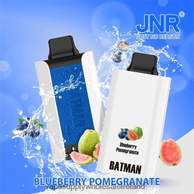 E Cigarettes Wholesale Suppliers - JNR BATMAN 11000 Blueberry Pomegranate 28260V18