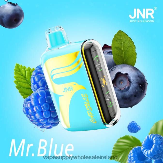 electronic cigarette wholesale supplier - 0T2H606 Mr.Blue JNR CAPSULE