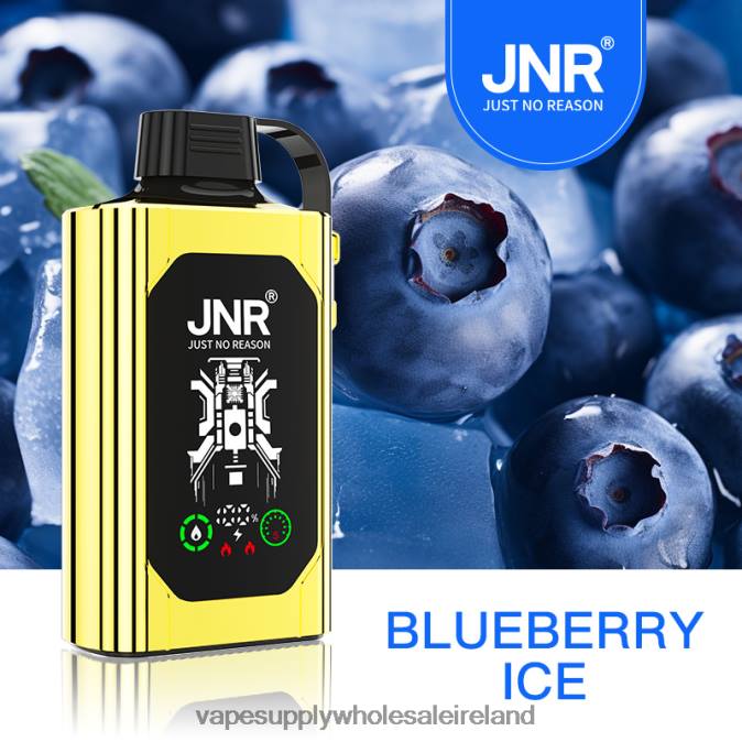 Vape Wholesale Europe - 0T2H617 Blueberry Ice JNR SHISHA BOX