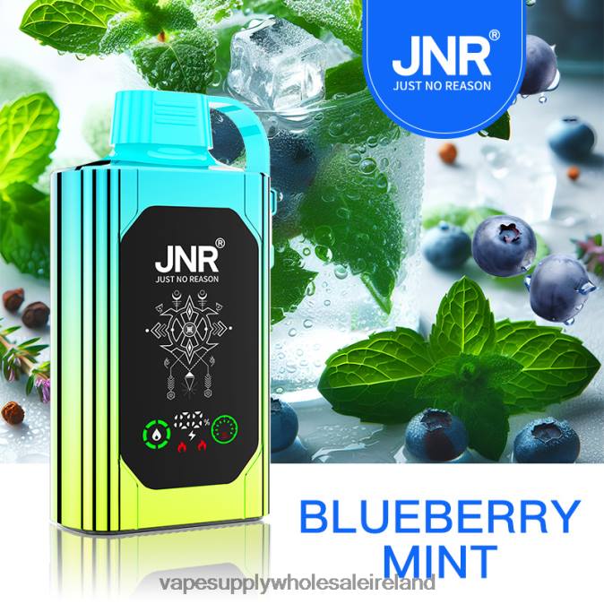 Vape Wholesale Ireland - 0T2H618 Blueberry Mint JNR SHISHA BOX