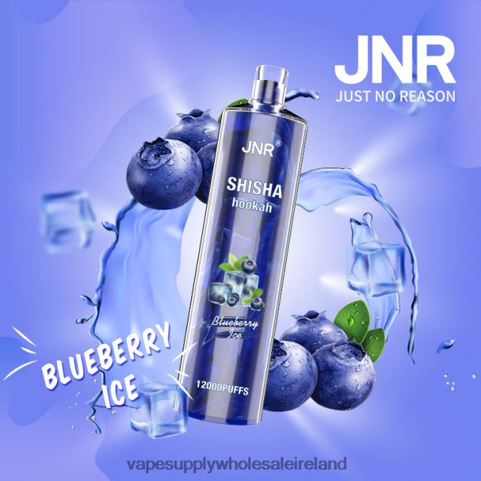 e cig wholesale - 0T2H671 Blueberry Ice JNR SHISHA