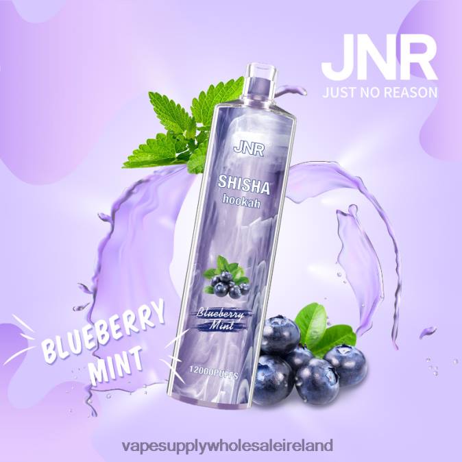 e cig wholesale distributors - 0T2H672 Blueberry Mint JNR SHISHA