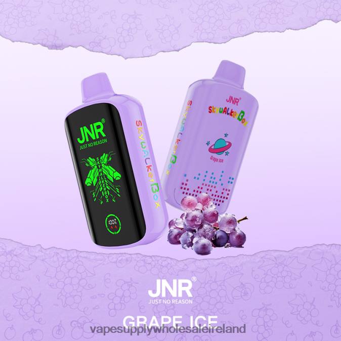 Vape Wholesale Europe - 0T2H587 Grape Ice JNR SKYWALKER BOX