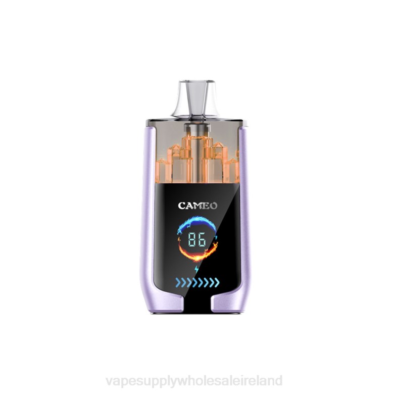 E Cig Wholesale - LAVIE CAMEO 30000 Puffs ZB6N16 Grape Ice