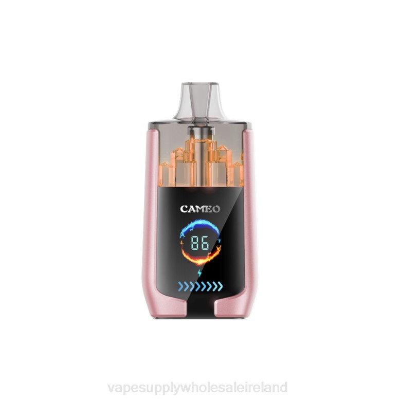 Electronic Cigarette Wholesale - LAVIE CAMEO 30000 Puffs ZB6N19 Tropical Fruit