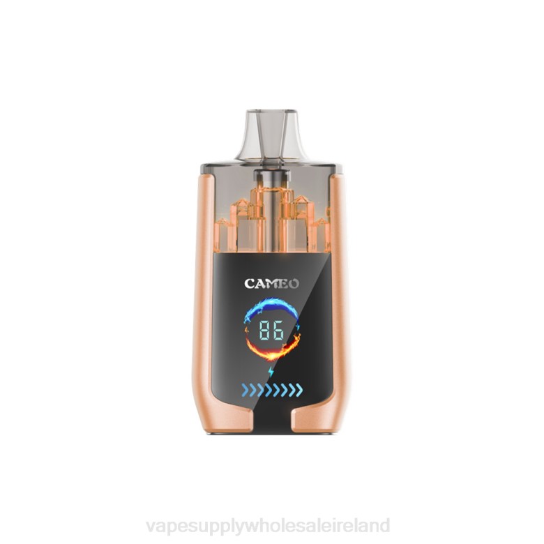 Vape Wholesale Europe - LAVIE CAMEO 30000 Puffs ZB6N22 Cherry