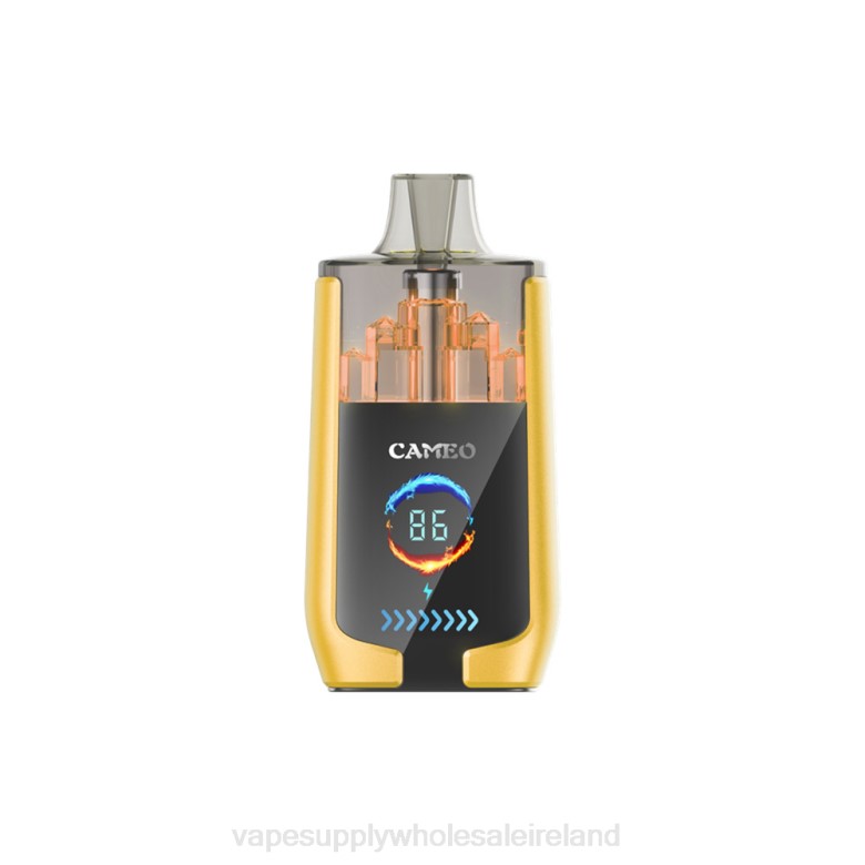 Vape Wholesale Ireland - LAVIE CAMEO 30000 Puffs ZB6N21 Mango Ice