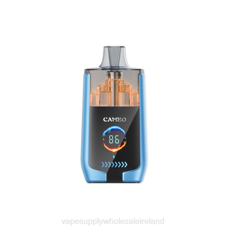 Vape Wholesale Supplier - LAVIE CAMEO 30000 Puffs ZB6N13 Strawberry Ice