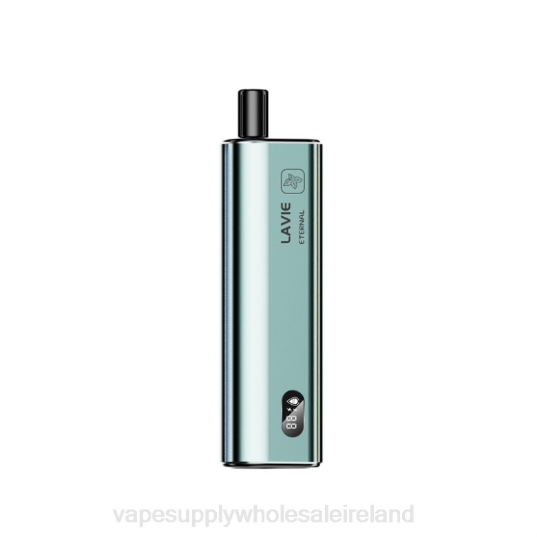 Vape Wholesale Ireland - LAVIE ETERNAL 10000 Puffs ZB6N121 Mint Ice