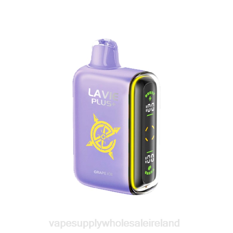 Vape Wholesale Supplier - LAVIE PLUS 15000 Puffs ZB6N103 Grape Ice