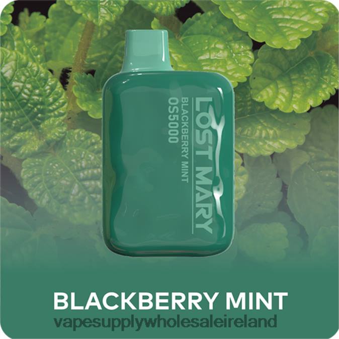 electronic cigarette wholesale - 0T2H485 Blackberry Mint LOST MARY OS5000