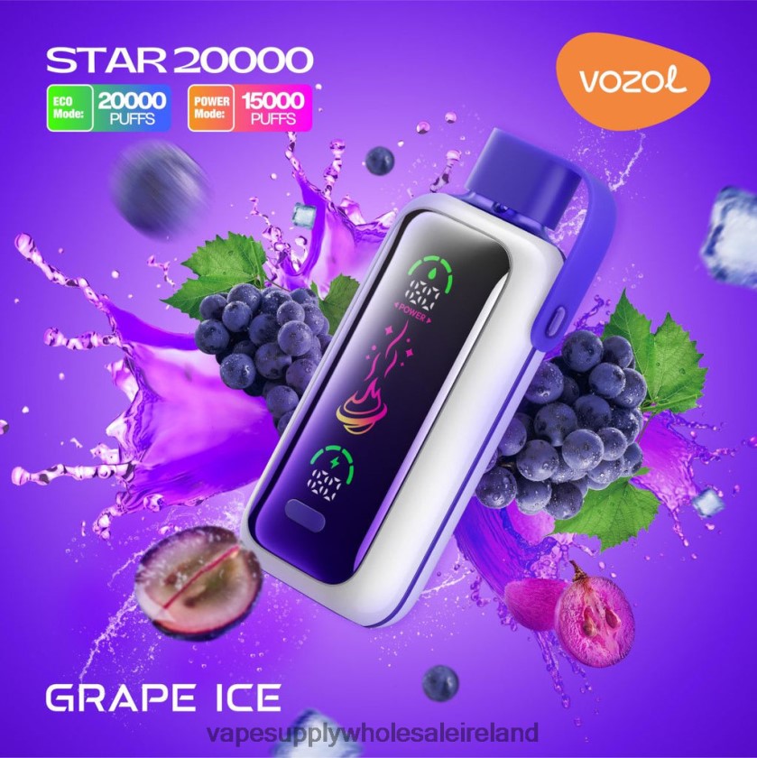 Electronic Cigarette Wholesale - VOZOL STAR 20000 PP0LBV9 GRAPE ICE